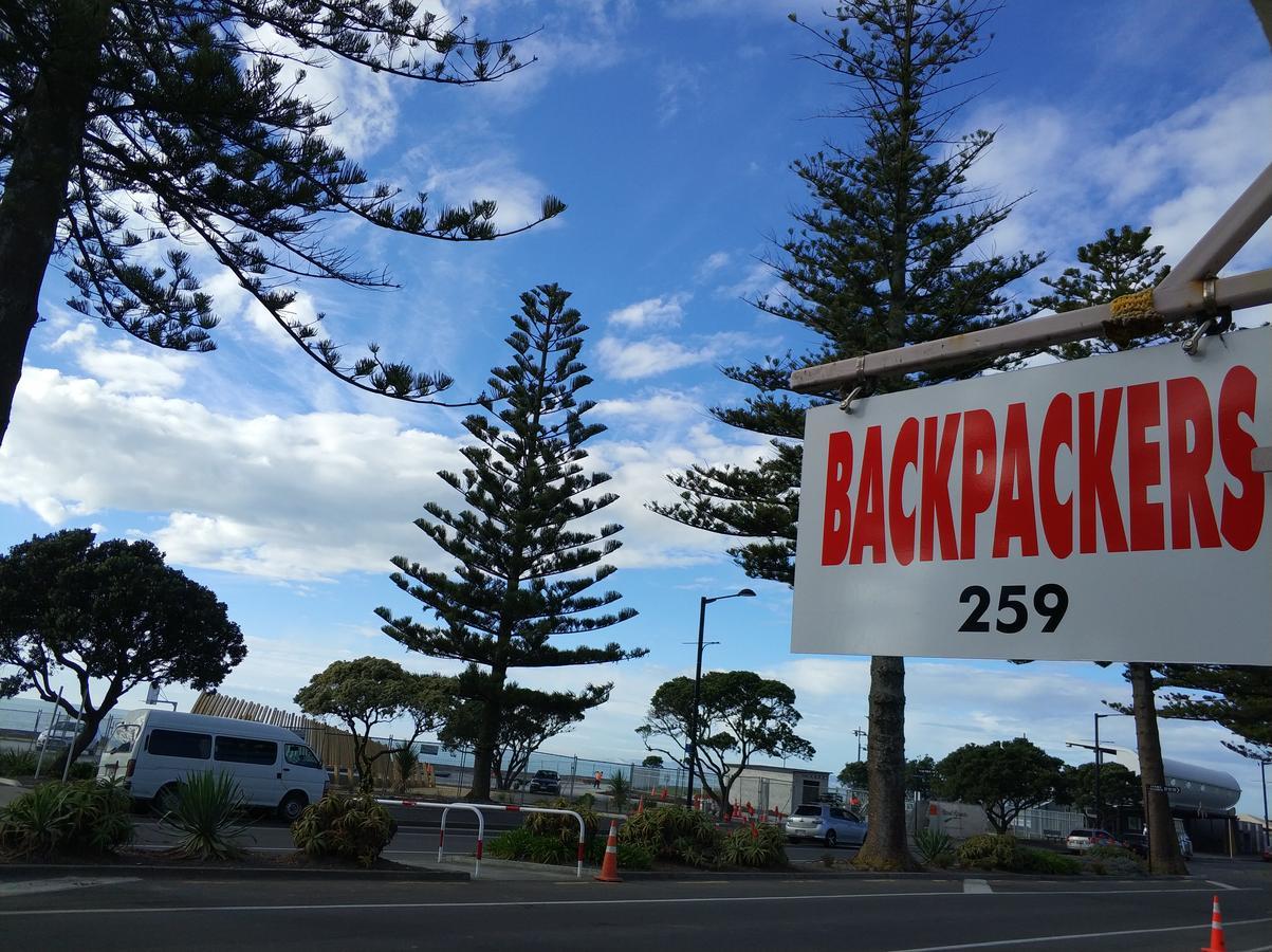 Art House Backpackers Hostel Napier
